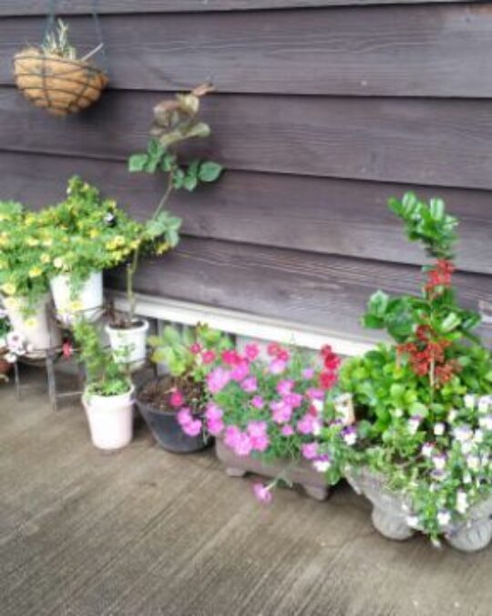 Amidst the Rainy Season…