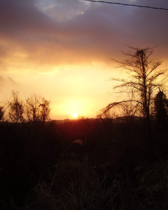 New Year’s First Sunrise