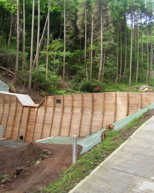 Site Progress Part 2 (Completed)