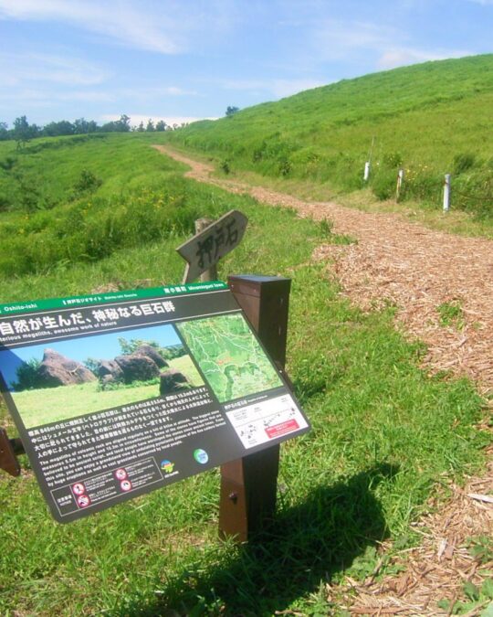 チップが活躍中！！