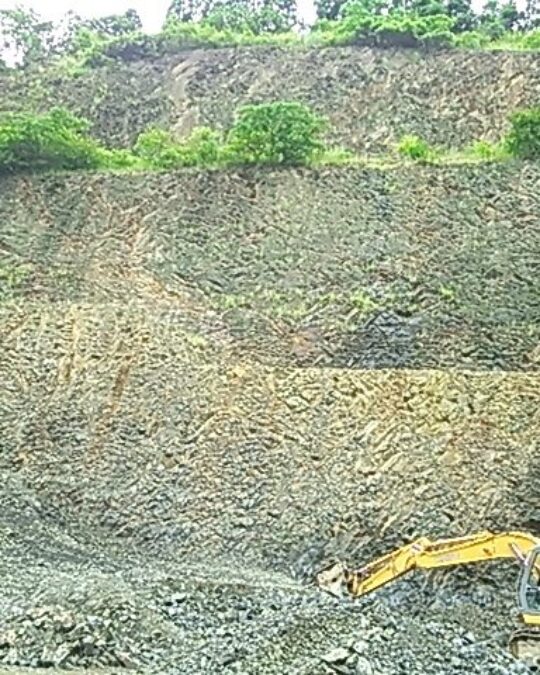 梅雨期パトロール