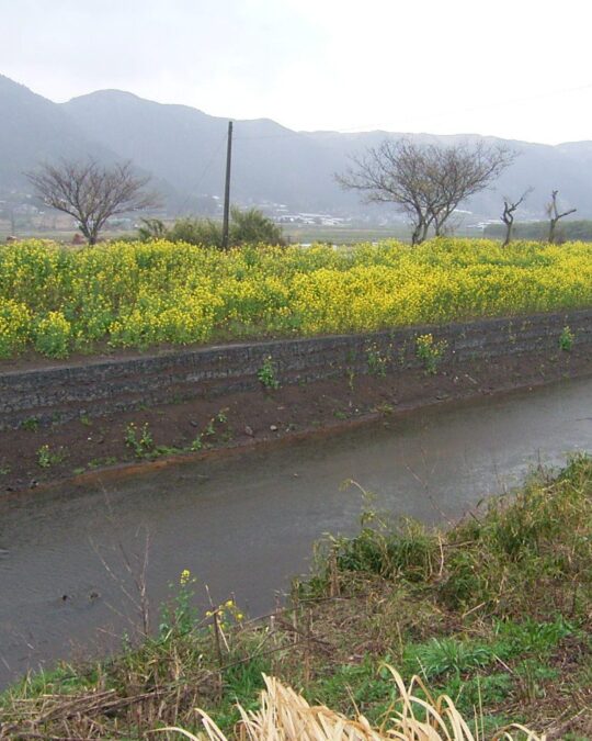 現場その後・・・